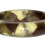 Гривна Snake Skin Resin